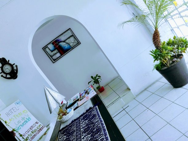 Imagen de los interiores del Hotel Blue Home Vallarta. Foto 14