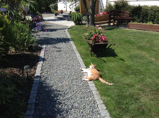 Imagen de los exteriores del Hotel Blue Horizon, St. Martin. Foto 13