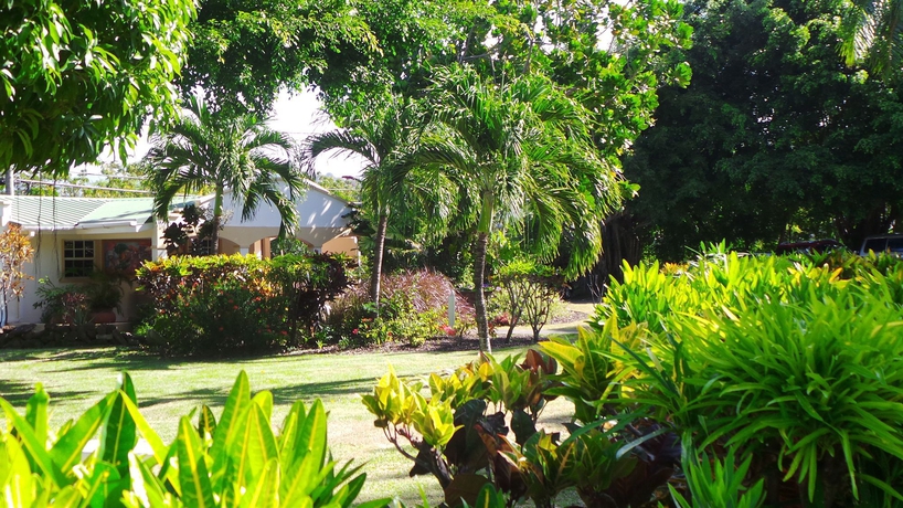 Imagen de los exteriores del Hotel Blue Horizons Garden Resort. Foto 11