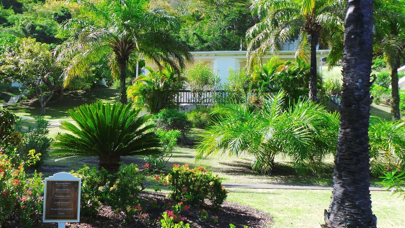 Imagen de los exteriores del Hotel Blue Horizons Garden Resort. Foto 12