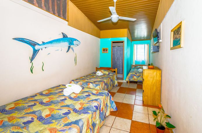 Imagen de la habitación del Hotel Blue Iguana. Foto 3