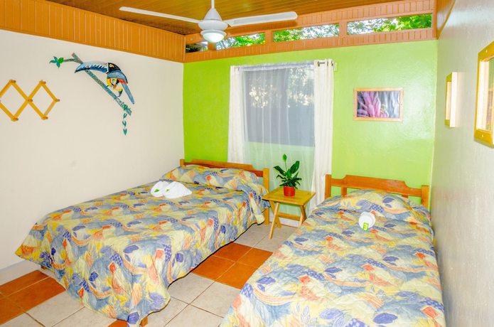 Imagen de la habitación del Hotel Blue Iguana. Foto 6