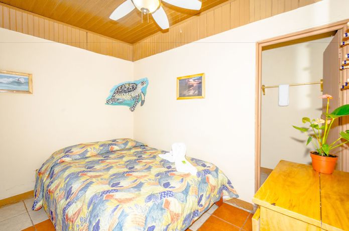 Imagen de la habitación del Hotel Blue Iguana. Foto 7