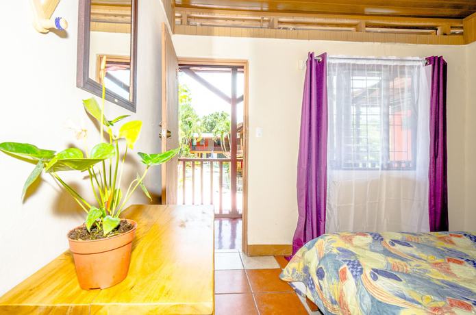 Imagen de la habitación del Hotel Blue Iguana. Foto 11