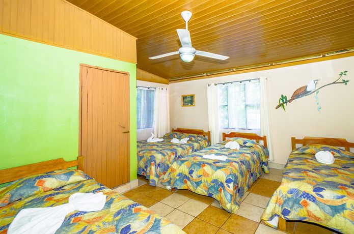 Imagen de la habitación del Hotel Blue Iguana. Foto 13