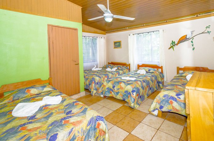 Imagen de la habitación del Hotel Blue Iguana. Foto 15