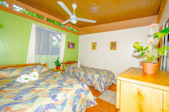 Imagen de la habitación del Hotel Blue Iguana. Foto 17