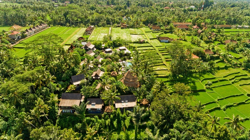 Imagen general del Hotel Blue Karma Dijiwa Ubud. Foto 15