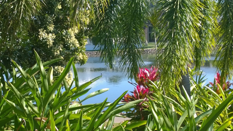 Imagen de los exteriores del Hotel Blue Lagoon Resort, Cairns - Playa Trinity. Foto 10