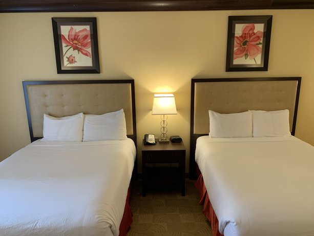 Imagen de la habitación del Hotel Blue Lake Casino And. Foto 6