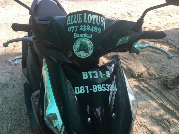 Imagen general del Hotel Blue Lotus Resort, Ban Haad Rin. Foto 2