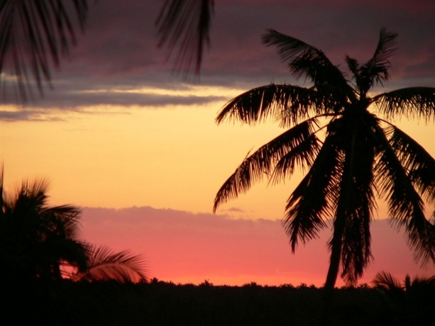 Imagen general del Hotel Blue Moon Beach Holiday Resort. Foto 2