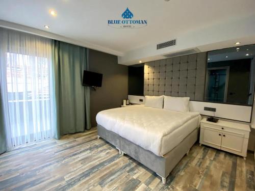 Imagen general del Hotel Blue Ottoman. Foto 4