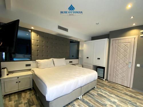 Imagen general del Hotel Blue Ottoman. Foto 6
