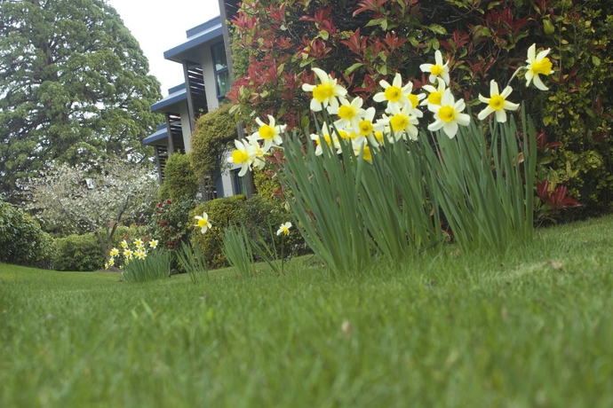 Imagen de los exteriores del Hotel Blue Peaks Lodge. Foto 10