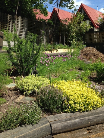 Imagen de los exteriores del Hotel Blue Peaks Lodge. Foto 11