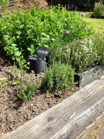 Imagen de los exteriores del Hotel Blue Peaks Lodge. Foto 12