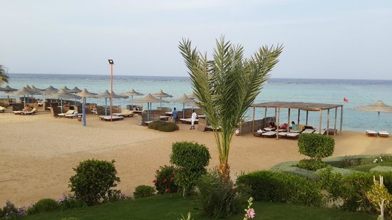 Imagen de los interiores del Hotel Blue Reef Marsa Alam - All Inclusive. Foto 6