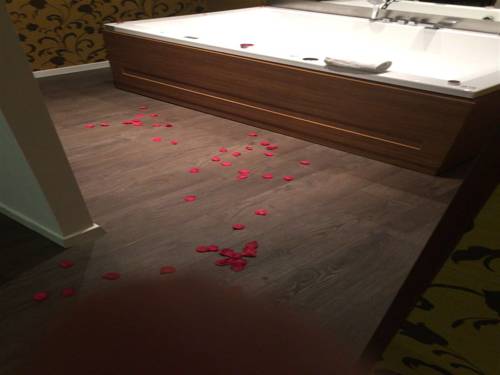 Imagen de la habitación del Hotel Blue Relais Malpensa Lago Maggiore. Foto 8