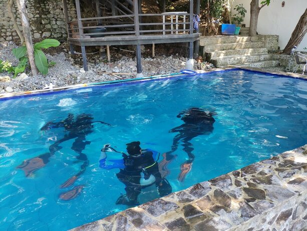 Imagen general del Hotel Blue Ribbon Dive Resort. Foto 11