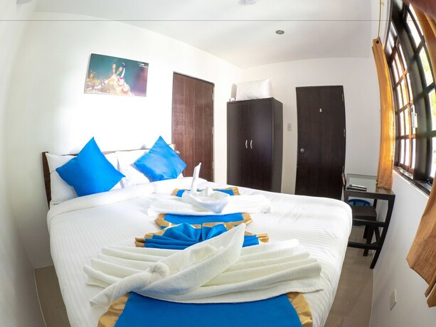 Imagen de la habitación del Hotel Blue Ribbon Dive Resort. Foto 13