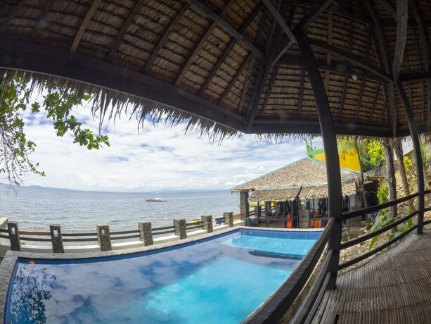 Imagen de la piscina del Hotel Blue Ribbon Dive Resort. Foto 33
