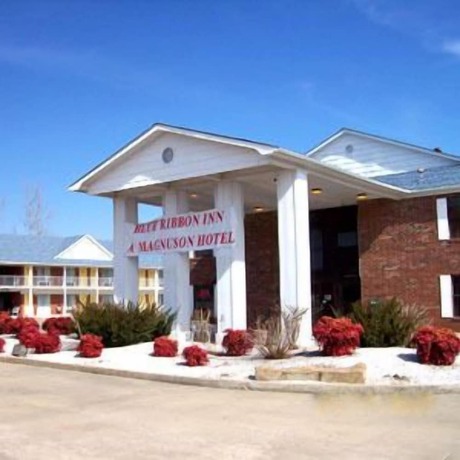Imagen general del Hotel Blue Ribbon Inn and Suites. Foto 2