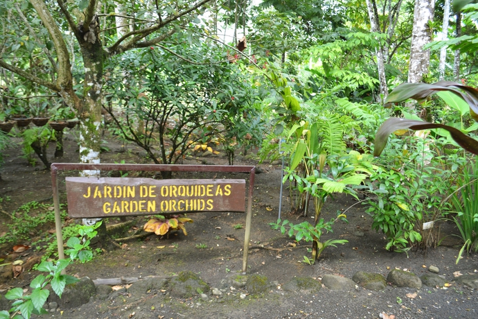 Imagen de los exteriores del Hotel Blue River Resort and Hot Springs. Foto 10