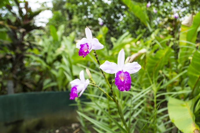 Imagen de los exteriores del Hotel Blue River Resort and Hot Springs. Foto 13