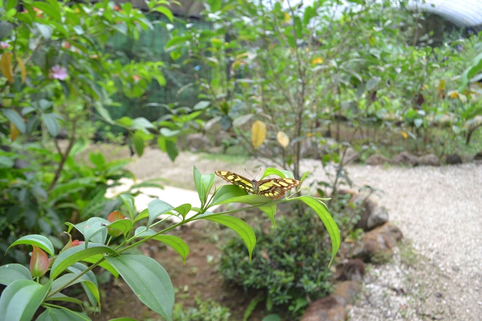 Imagen de los exteriores del Hotel Blue River Resort and Hot Springs. Foto 15