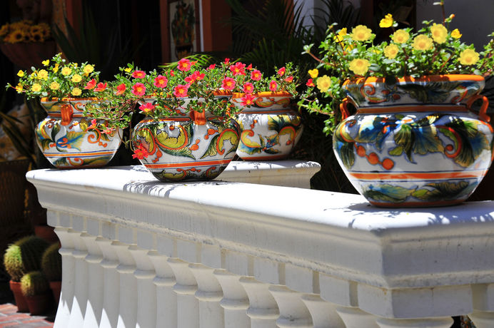 Imagen de los interiores del Hotel Blue Seas Courtyard. Foto 11