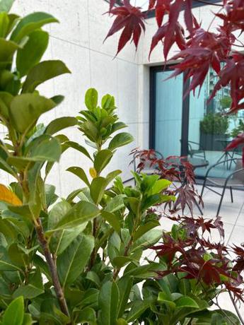 Imagen general del Hotel Blue Star Luxury. Foto 5