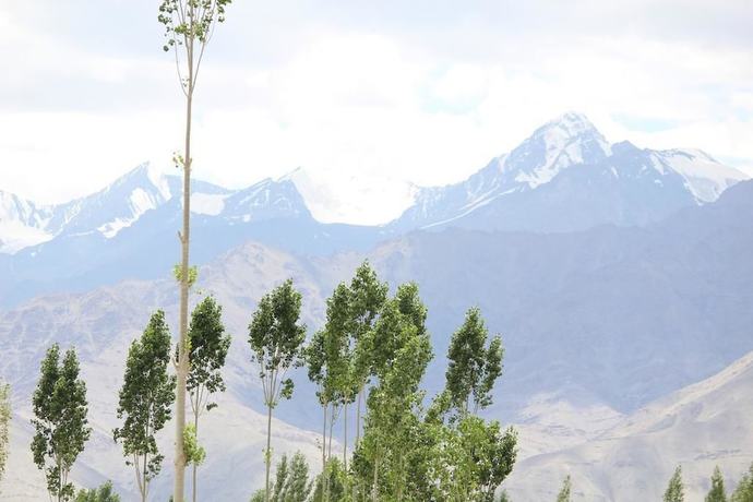Imagen de los exteriores del Hotel Blue Stone, Leh. Foto 13