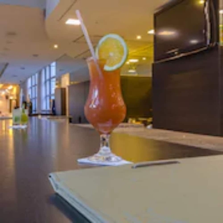 Imagen de los interiores del Hotel Blue Tree Premium Paulista. Foto 12