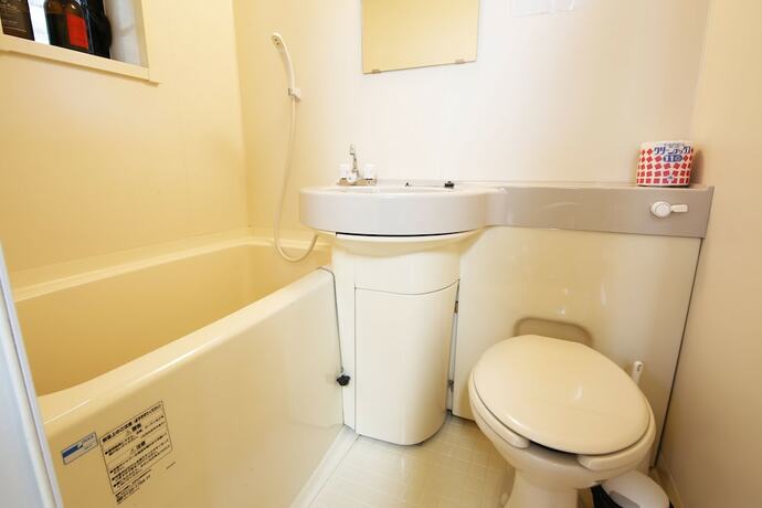 Imagen de la habitación del Hotel Blue Villa Anabuki. Foto 19