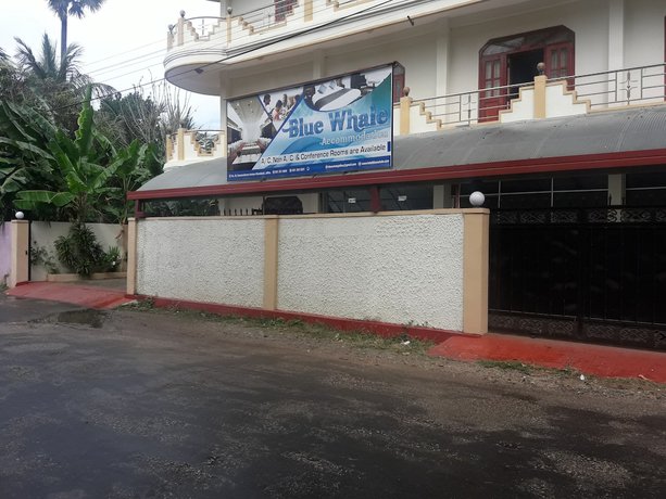 Imagen general del Hotel Blue Whale. Foto 1