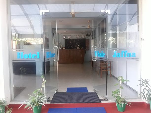 Imagen de los interiores del Hotel Blue Whale. Foto 19