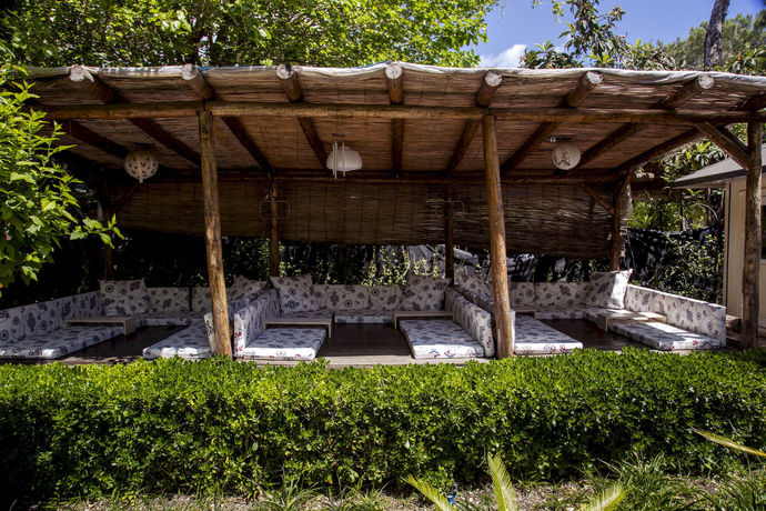 Imagen general del Hotel Blue and White, Kemer. Foto 1