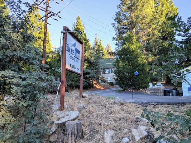 Imagen general del Hotel Bluebird Cottage Inn. Foto 1