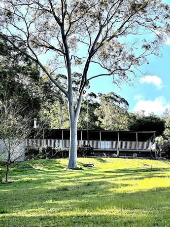 Imagen de la habitación del Hotel Bluegums Cabins Barrington Tops. Foto 14