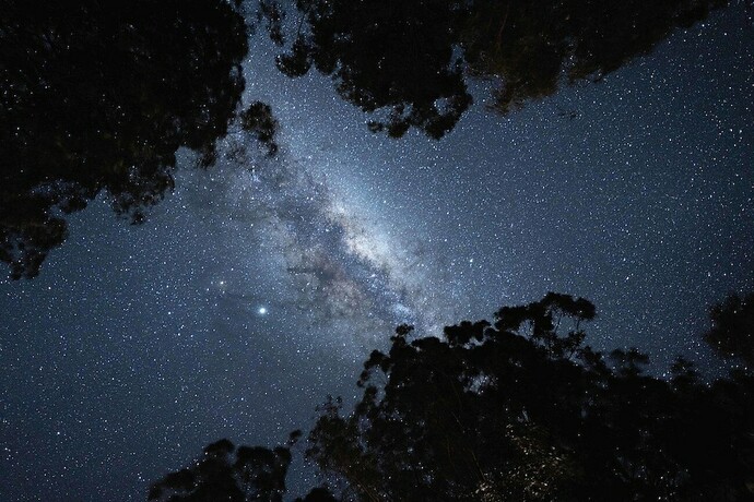 Imagen de la habitación del Hotel Bluegums Cabins Barrington Tops. Foto 15