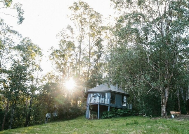 Imagen de la habitación del Hotel Bluegums Cabins Barrington Tops. Foto 34