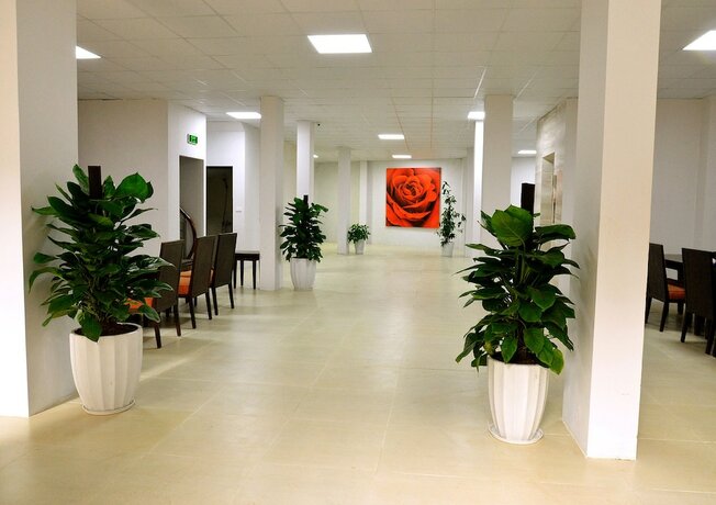 Imagen general del Hotel Bluehome. Foto 4