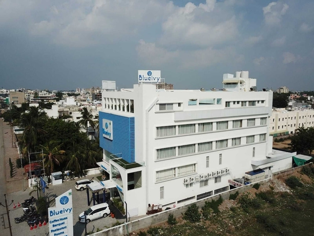 Imagen general del Hotel Blueivy. Foto 1
