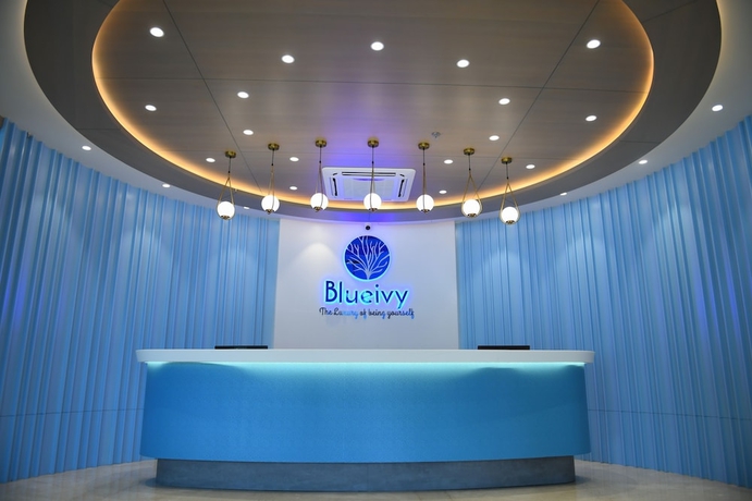 Imagen de los interiores del Hotel Blueivy. Foto 18
