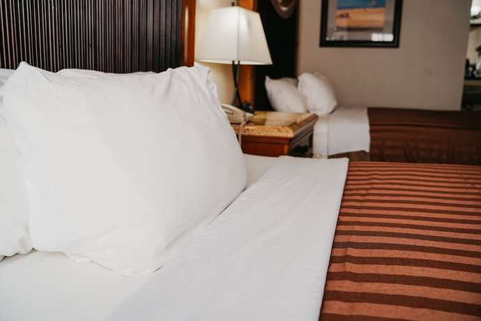 Imagen de la habitación del Hotel Bluestone. Foto 8