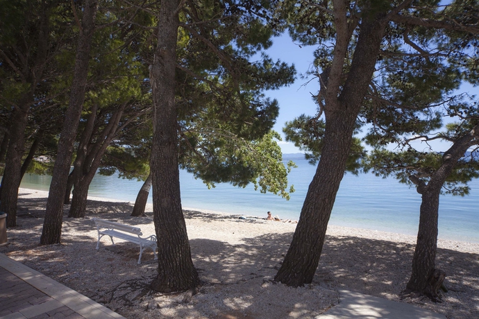 Imagen de los exteriores del Hotel Bluesun Alga. Foto 12