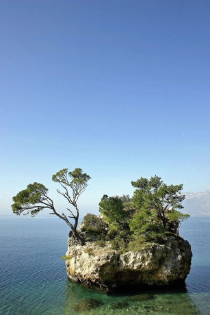 Imagen de los exteriores del Hotel Bluesun Marina. Foto 8