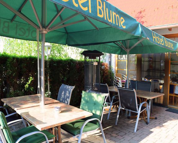 Imagen de la habitación del Hotel Blume, Opfingen. Foto 9