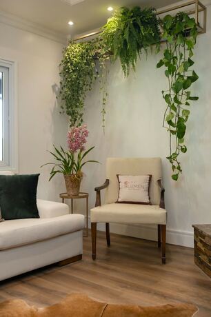 Imagen general del Hotel Blumen Boutique. Foto 3